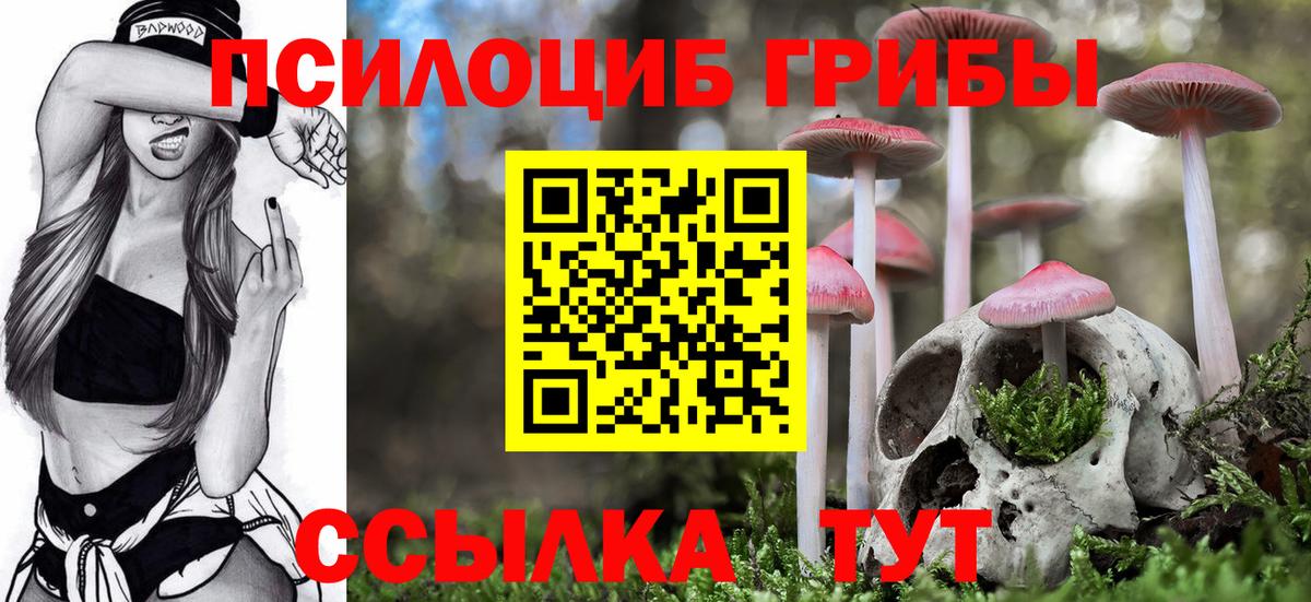 Галлюциногенные грибы Magic Shrooms  Псилоцибиновые грибы Magic Shrooms  Тихорецк  Вход с VPN 