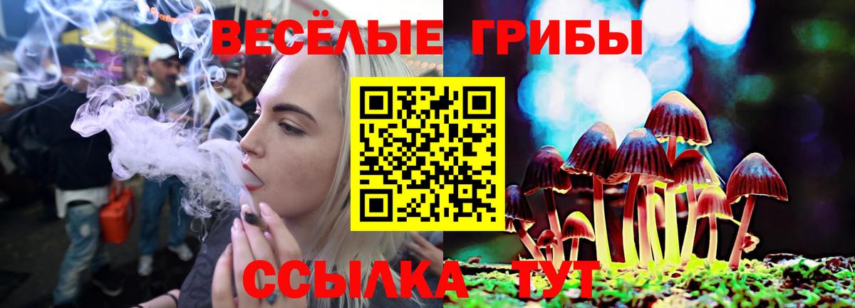Галлюциногенные грибы ЛСД Тихорецк